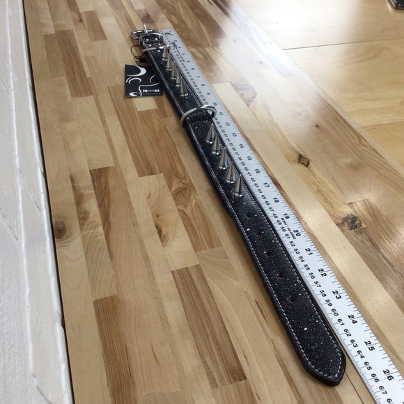 Mad Cow genuine leather Punk Rock dog collar handmade black dark silver studs - Picture 14 of 16